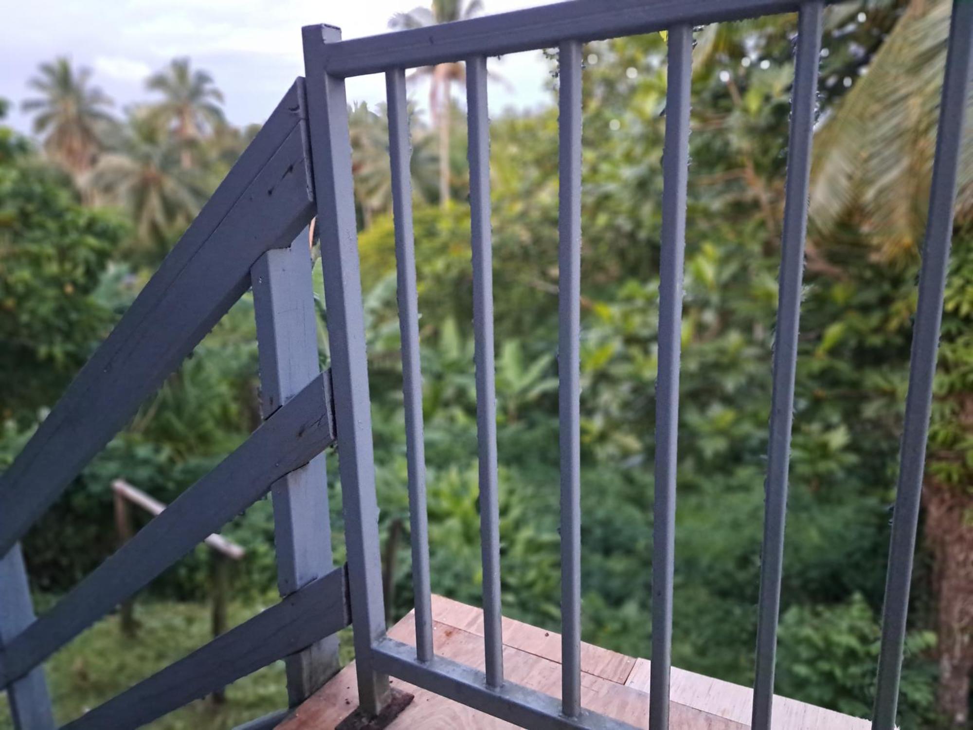 Tropical Almond Haven Bed & Breakfast Suva Eksteriør bilde
